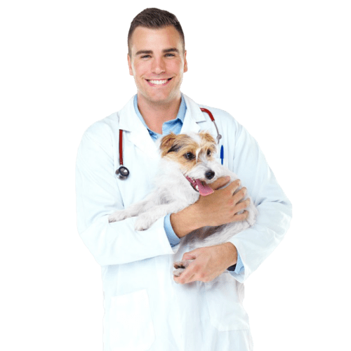 Treatment Facilities for Pets – Dav Pet Lovers – Dav Pet Lovers