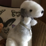 Bedlington Terrier Puppy Thumbnail 4